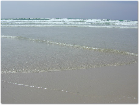 PHOTO WEB EVASION