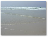 Photo Web Evasion