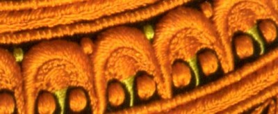 img008.jpgcompresses_site_jomlat